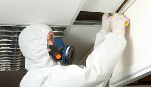 Certified Asbestos Assessment Testing Southern California